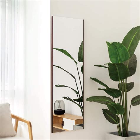 好養的室外植物 全身鏡安裝
